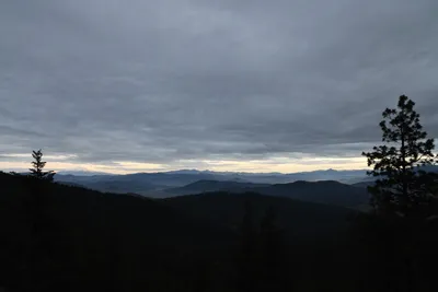 DSC_0133 (Large).JPG